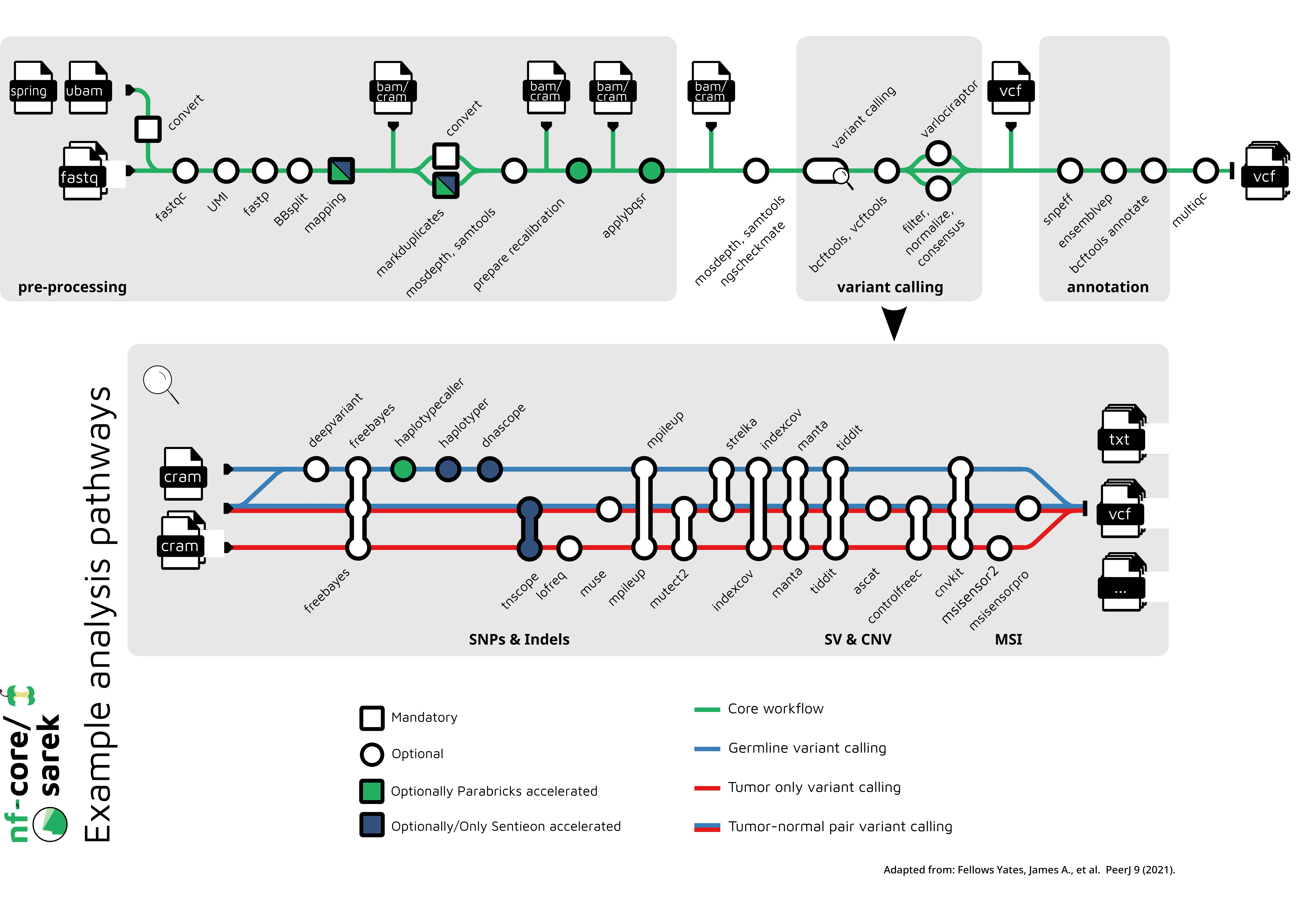 nf-core/cutandrun workflow
